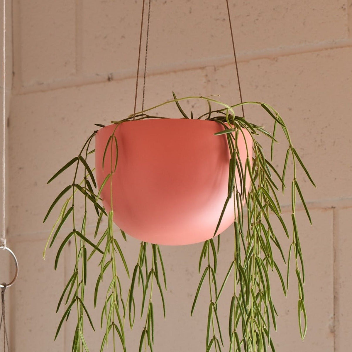 CLIFTON hanging plant pot