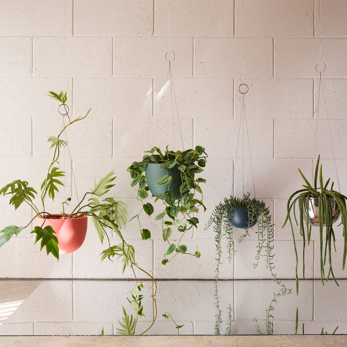 CLIFTON hanging plant pot