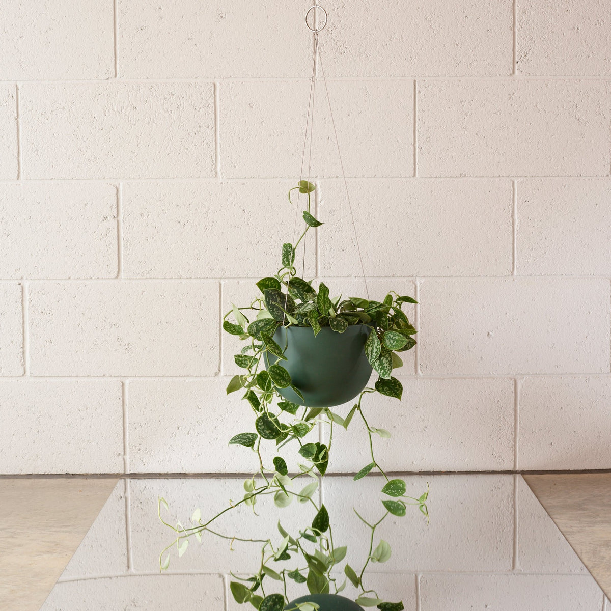 CLIFTON hanging plant pot